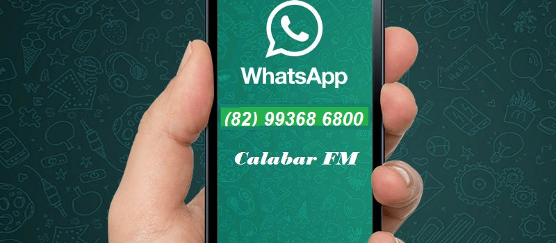 Novo número WhatsApp 