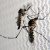 Pelo menos 327 crianças morreram por zika desde outubro de 2015 no Brasil